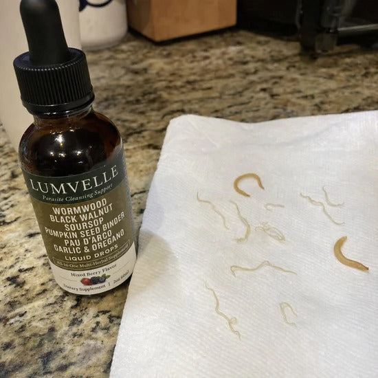 LUMVELLE Wild-Harvested Wormwood Herbal Drops